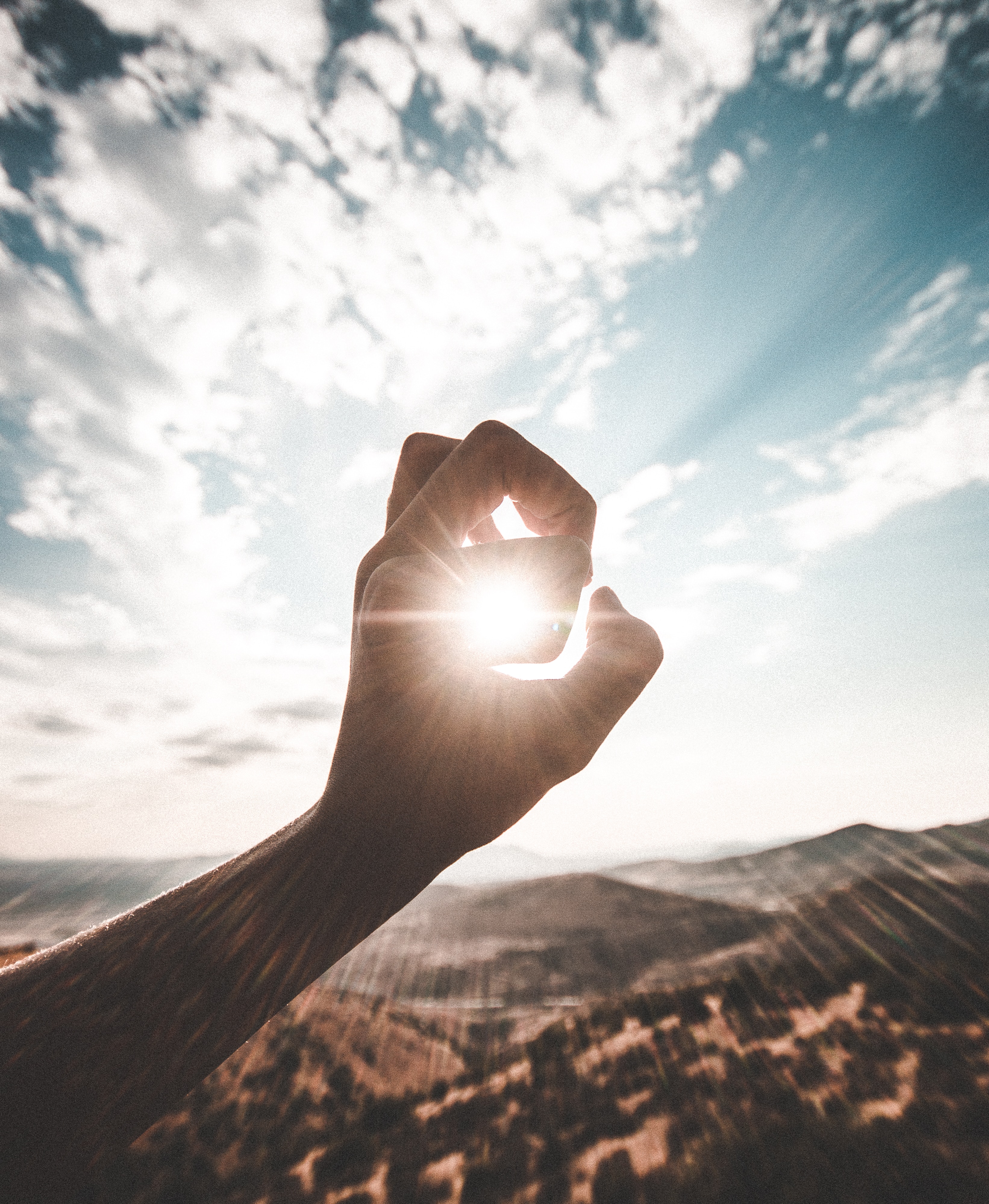 Hand in Sonne